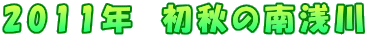 2011�N�@���H�̓���